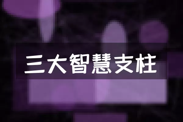 三大智慧支柱