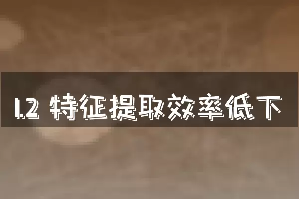 1.2 特征提取效率低下