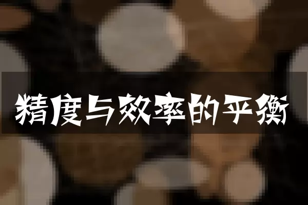 精度与效率的平衡