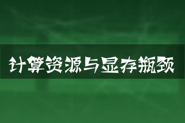 计算资源与显存瓶颈