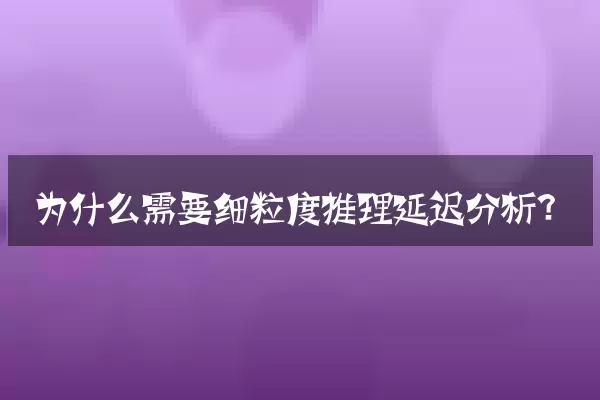 为什么需要细粒度推理延迟分析？