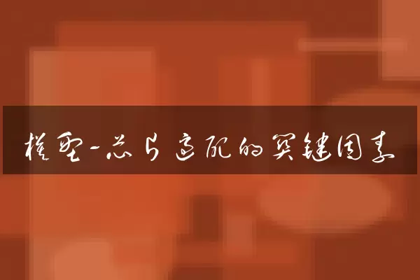 模型-芯片适配的关键因素